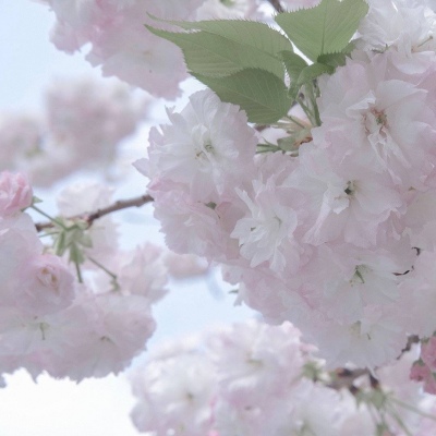 昔阳FurryQQ群介绍